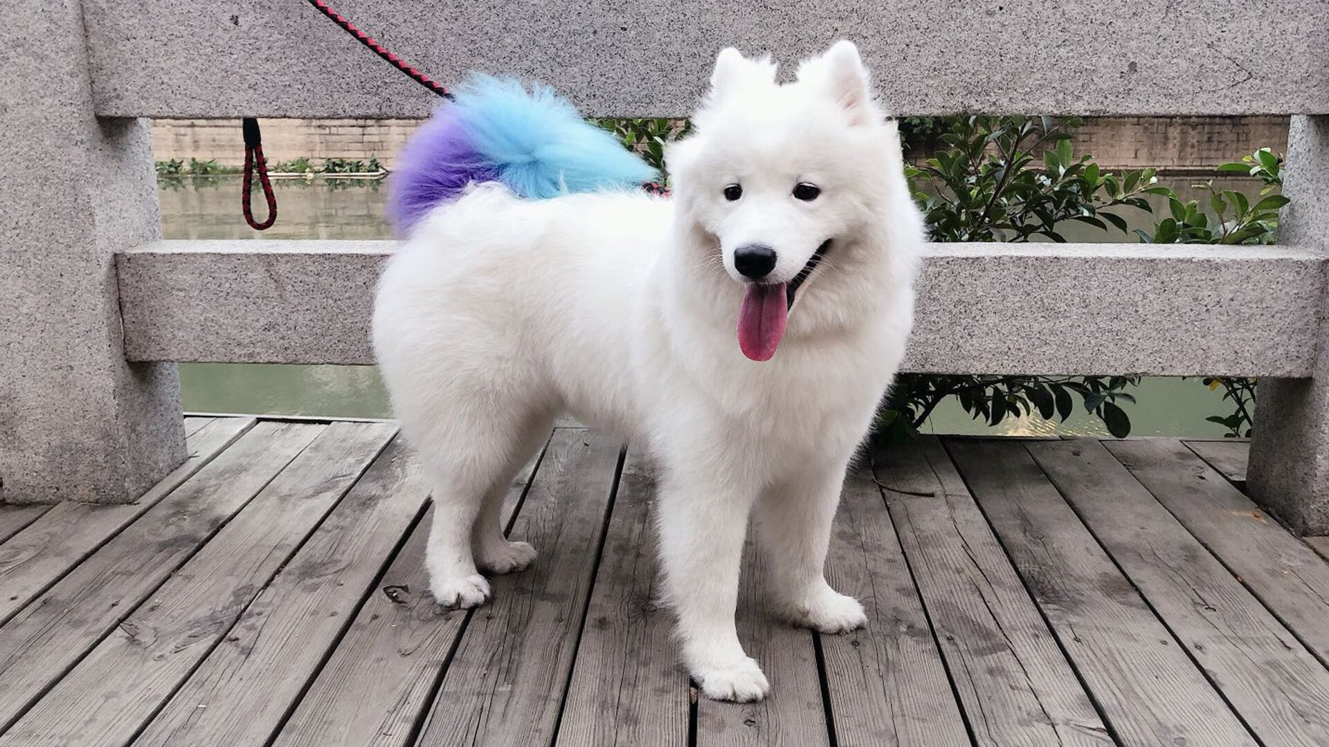 _国际耐力赛:跑者挑战极限距离_,耐力跑及格线成绩