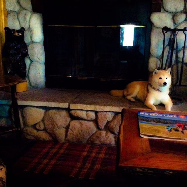 九游网页版入口-“西甲超级德比：豪门交锋点燃球迷热情”，西甲德比最大比分