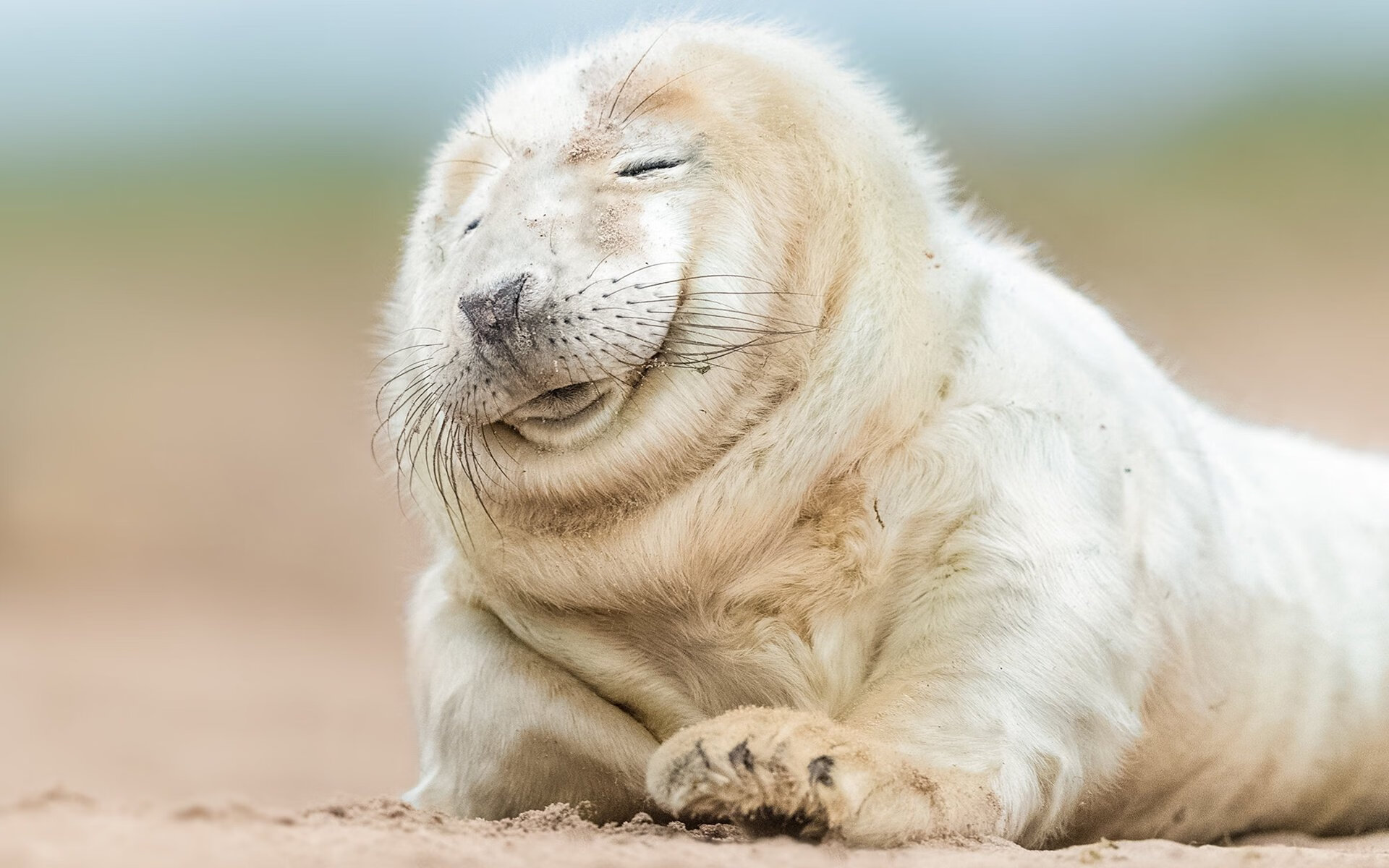 篮球青训体系科学管理水平持续提升，篮球青训体系科学管理水平持续提升的原因