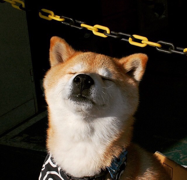 九游登录中心-贝阿特丽斯·切贝特在巴黎奥运会夺得5000米和10000米金牌，贝切尔特拳王