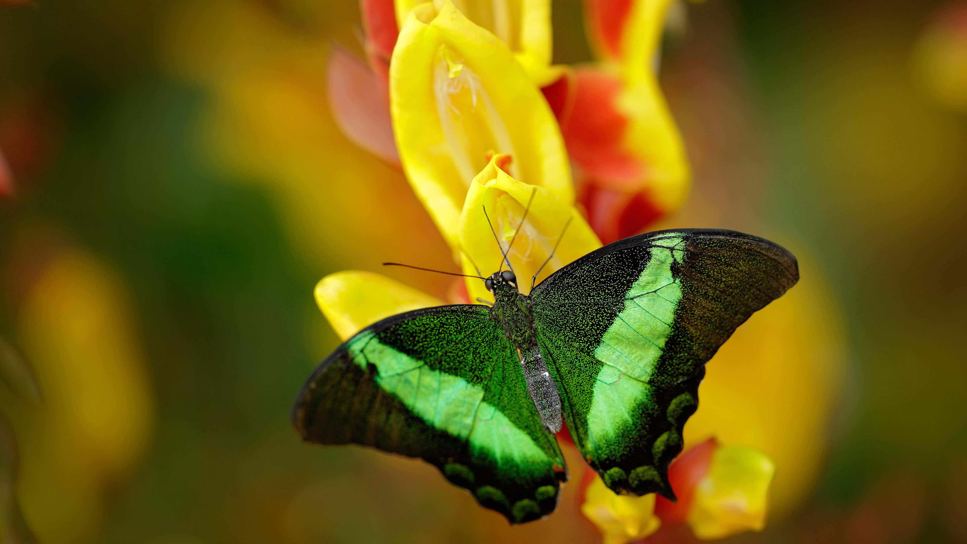 足球场馆设计标准将进行全面修订,足球场馆建设