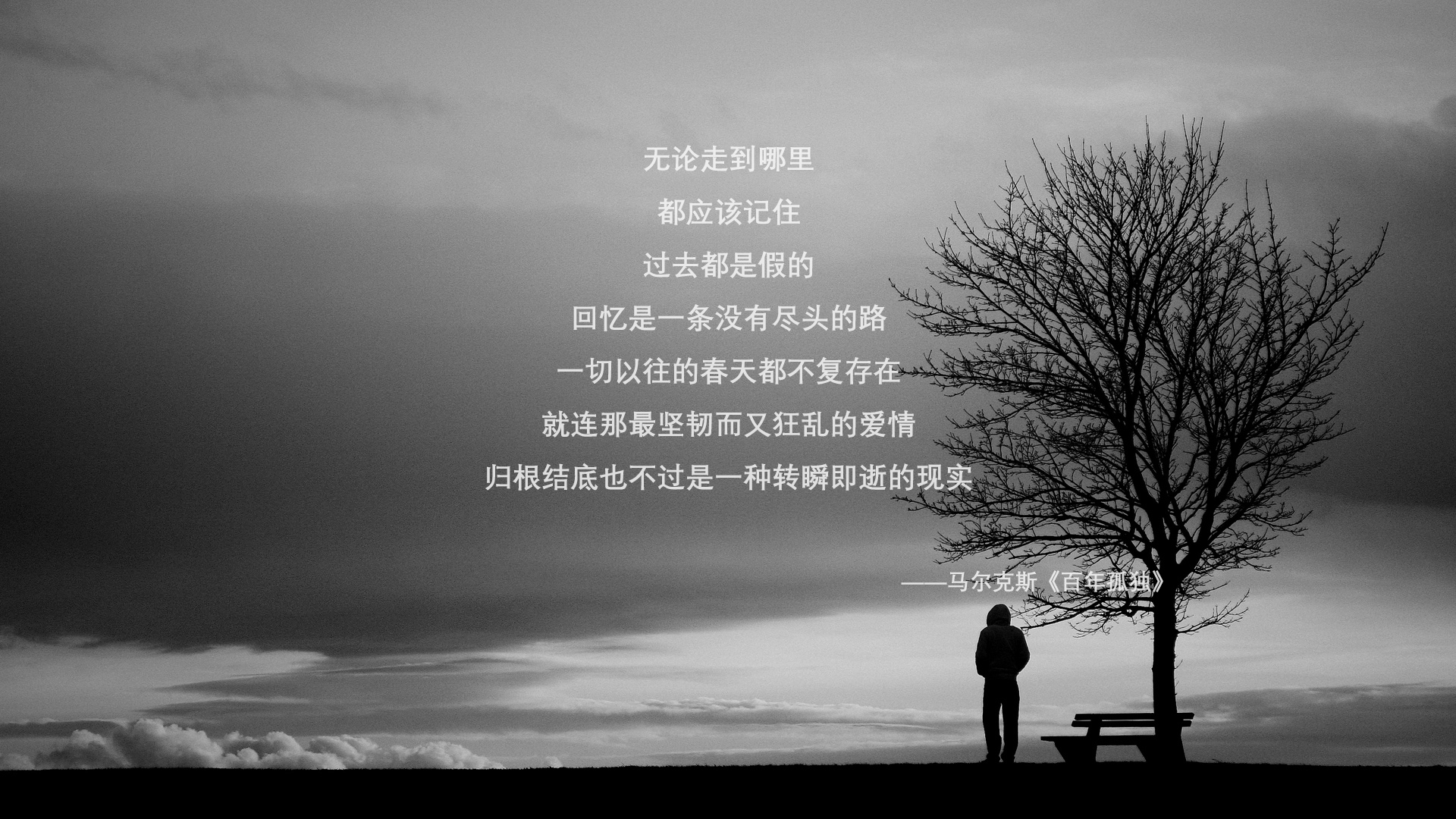 青少年篮球训练器材升级，杨过研发新型科技设备，青少年专用篮球