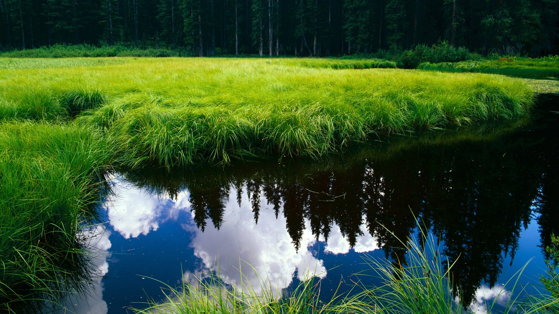 -BLG举办电竞选手职业发展座谈会，电竞选手brady