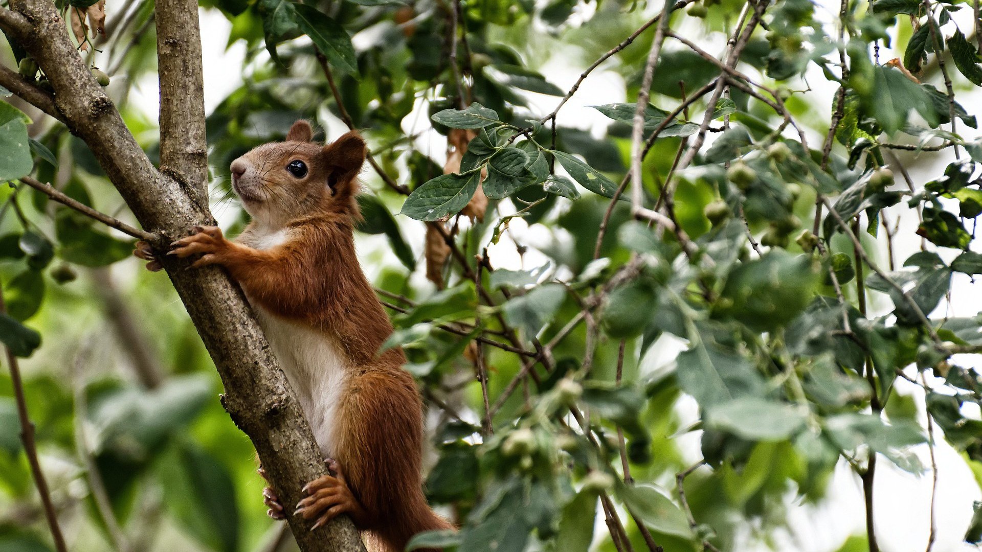中超俱乐部加大青训投入，锁定未来之星，中超俱乐部青训梯队