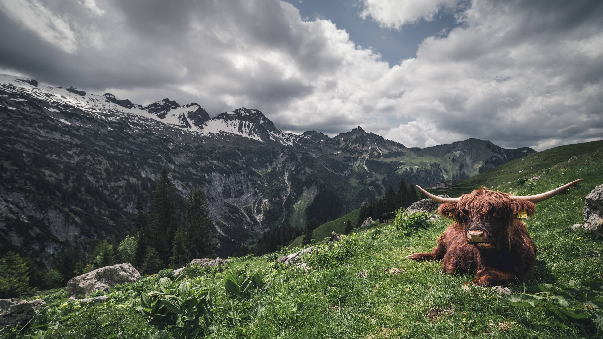俱乐部是否应加强退役球员的再就业规划，足球俱乐部退役