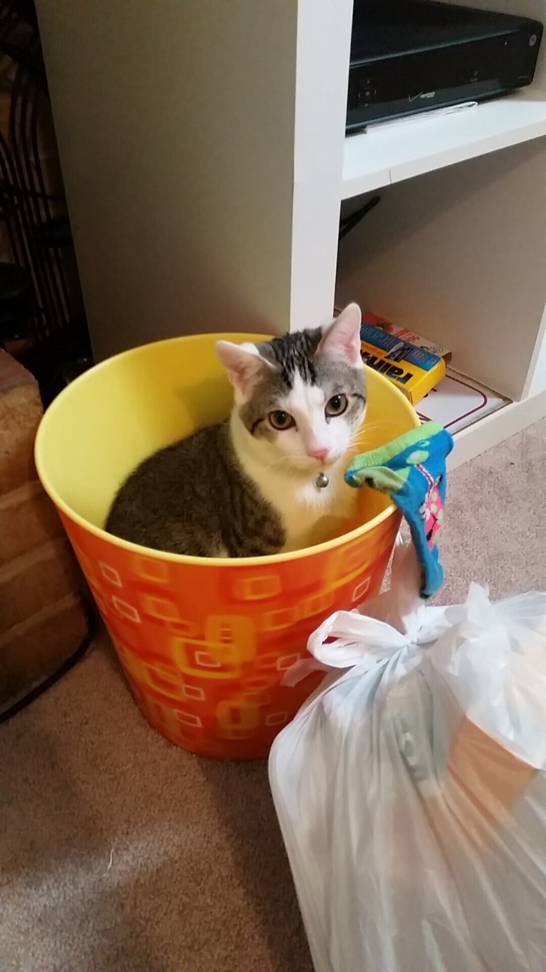 欧洲杯常胜军:拜仁慕尼黑占据榜首,欧洲杯连胜纪录