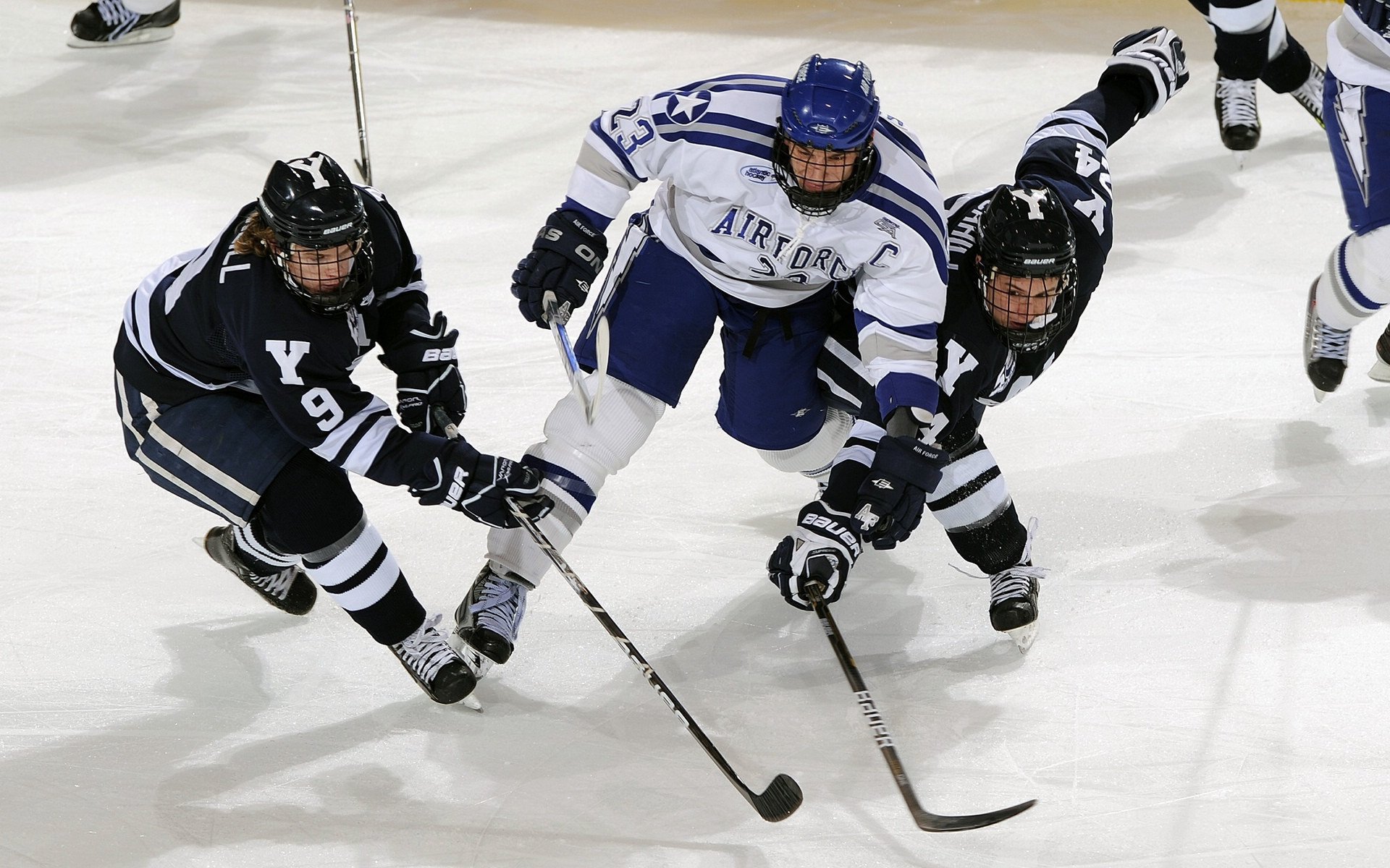 猛龙队主场失利，面临东部竞争压力，猛龙队的主场在哪里