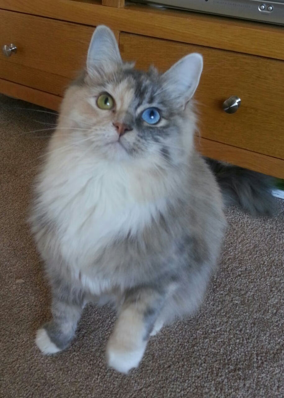 九游登录中心-红军放走若塔，腾出薪资空间，红军若尔盖草原行走路线图片