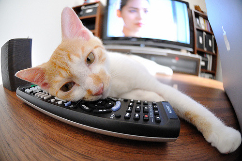 九游-赛场上队员积极拼搏，展现出色表现，形容比赛队员