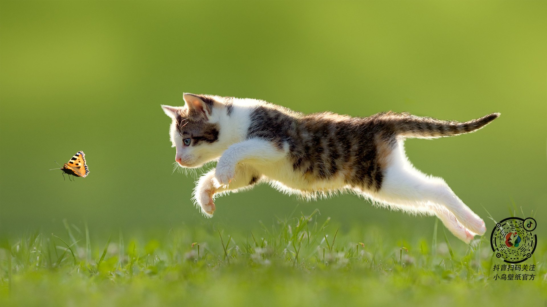 阿森纳客场不敌对手,遭遇背水一战,阿森纳终于赢了