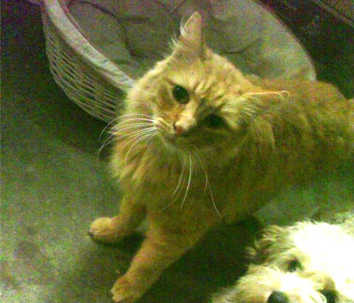 全国帆板锦标赛青岛站圆满落幕,2019全国帆板冠军赛比赛细则