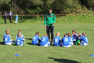 九游游戏中心-德甲球队构建战术模拟平台提升临场应变能力，德甲球队构建战术模拟平台提升临场应变能力