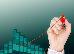 九游下载中心-运动项目职业路径设计与发展研究，运动职业化