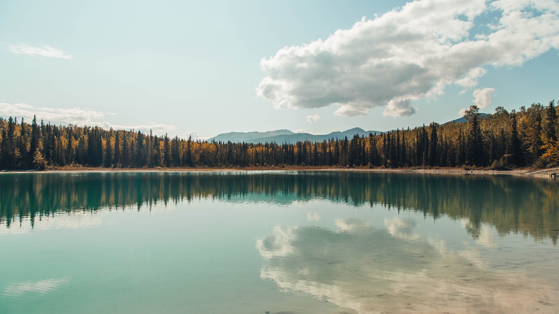 运动项目职业路径设计与发展研究,运动职业化