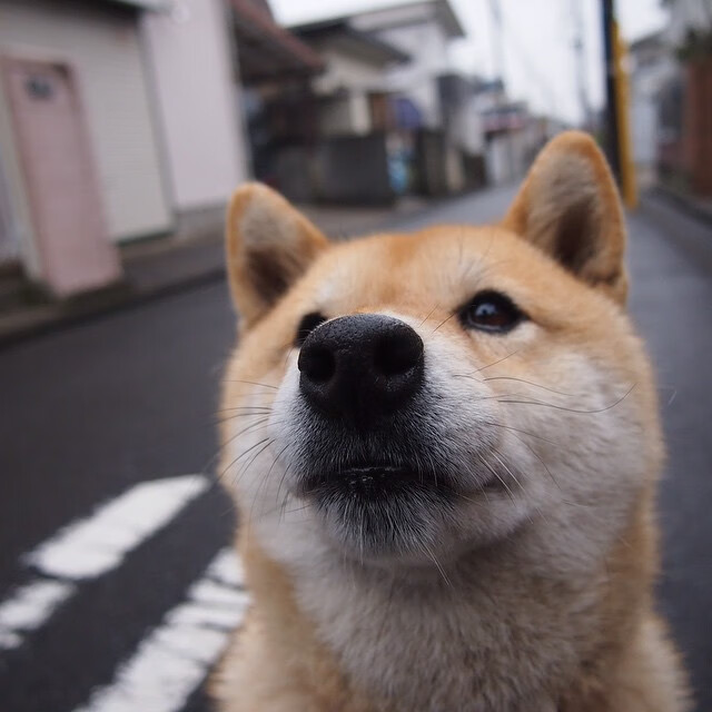 中超联赛中国青年队爆冷 球员调整需加强，中超为什么派青年队