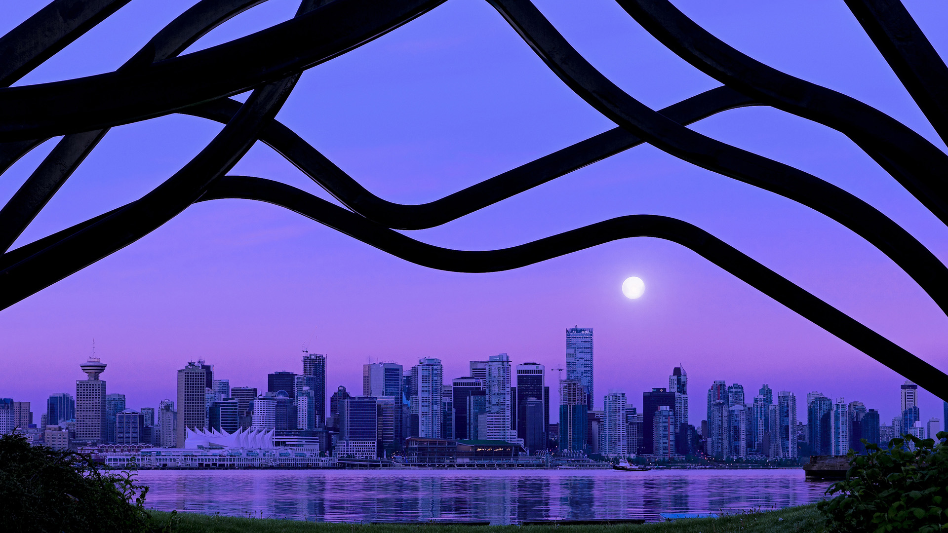 体育新闻中心开展体育传媒数字技能培训计划，体育培训数字化