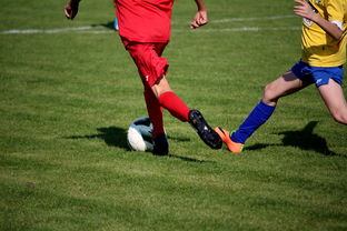 九游娱乐官网 (JIUYOU)-国家体育场馆运营管理论坛探讨智能化方向，国家体育总局体育场馆运营管理办法