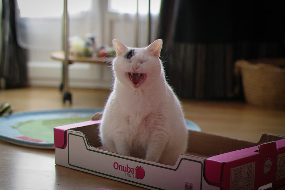 JIU YOU GAME-城市马拉松倡导绿色健康生活，城市马拉松活动策划方案