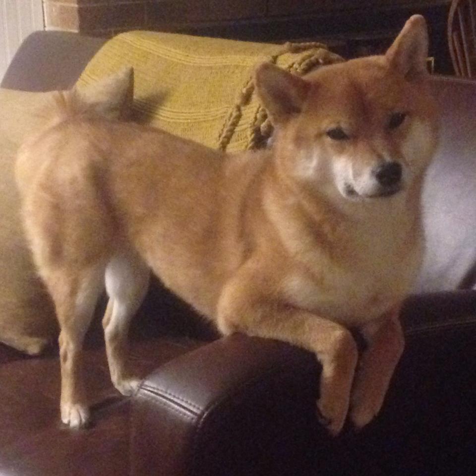 JIU YOU GAME-姆巴佩目标锁定下一届冠军，姆巴佩啥水平