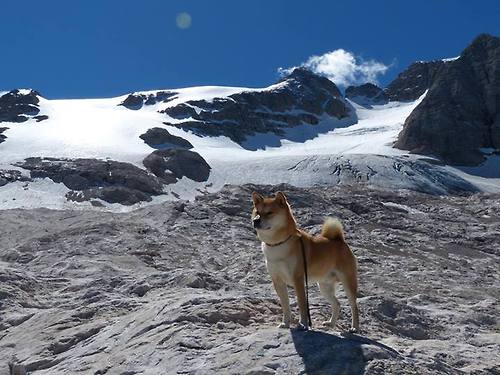 高节奏球队的防守转换问题如何应对，高节奏球队的防守转换问题如何应对