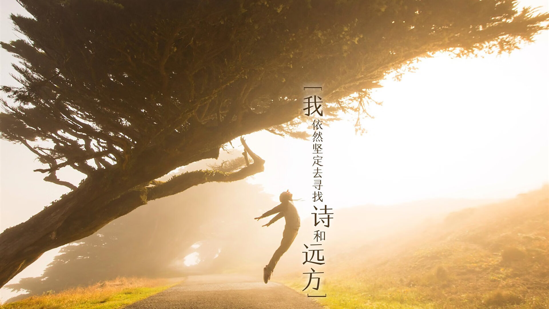 CBA球队尝试球员轮换新机制保持阵容活力与健康状态,cba球员转会规则