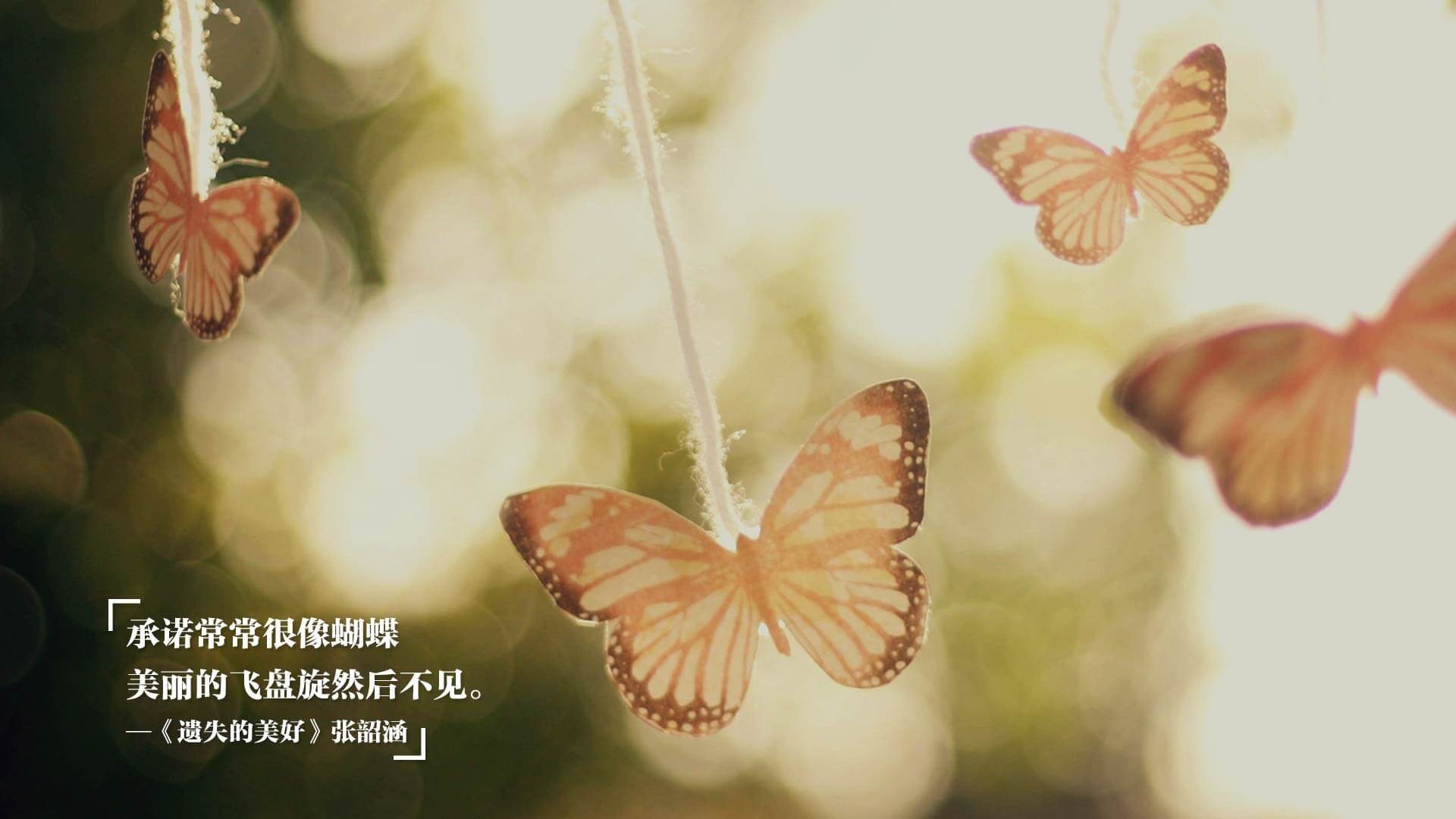 体育新闻中心明星专访独家，体育明星采访