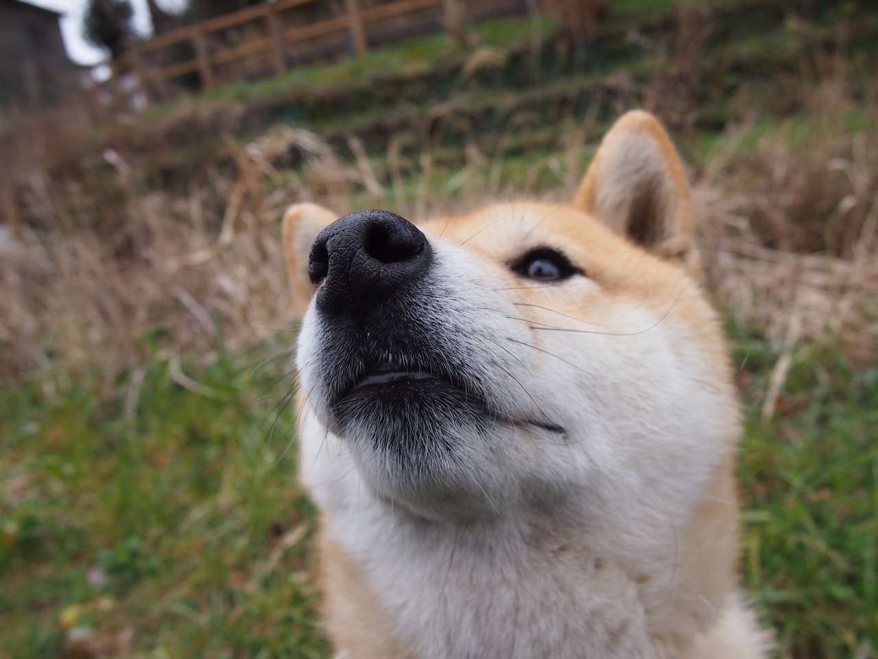 九游9游-德甲强强对抗：力量与技巧的全面展现，德甲强度