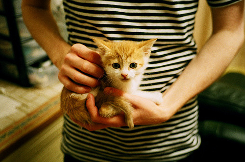 绿色场馆引领行业发展，未来足球场馆不仅环保还能智能，足球场设施