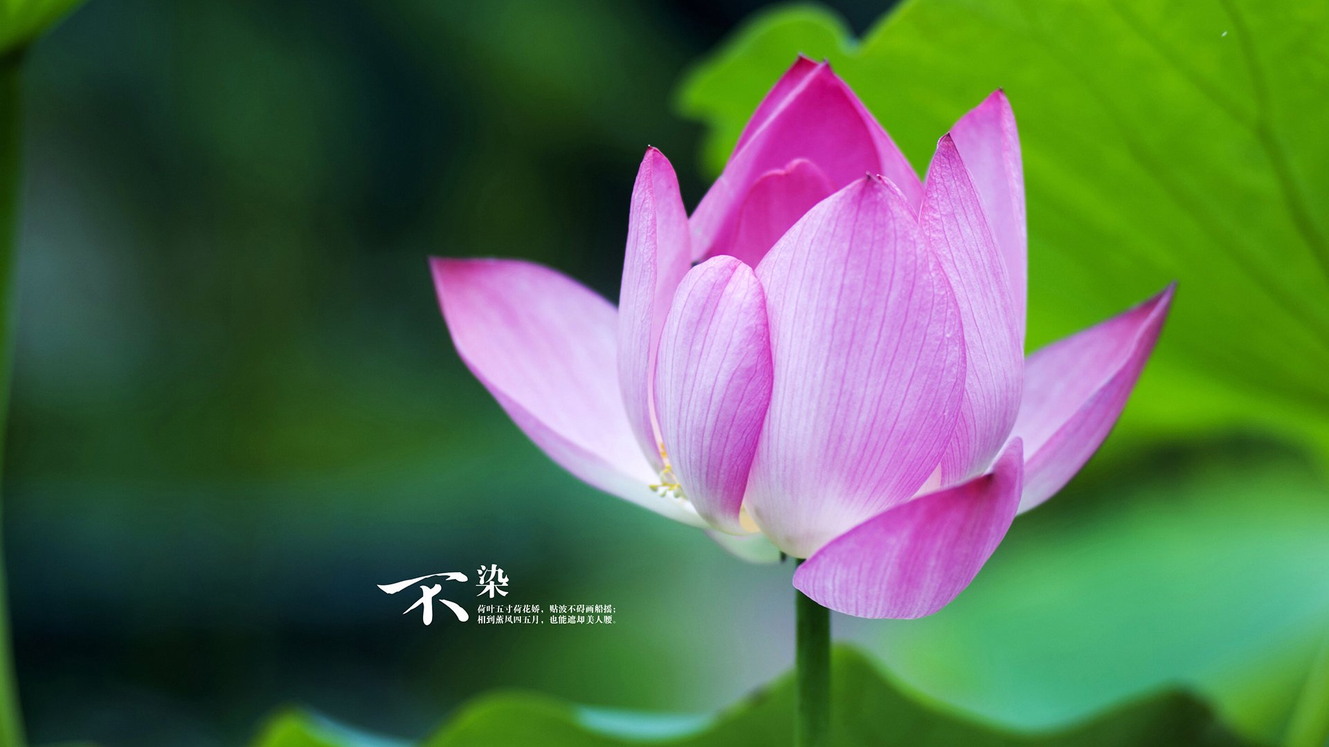 九游jiuyou-联合训练营成常态，国际交流推动技术革新，联合训练体系