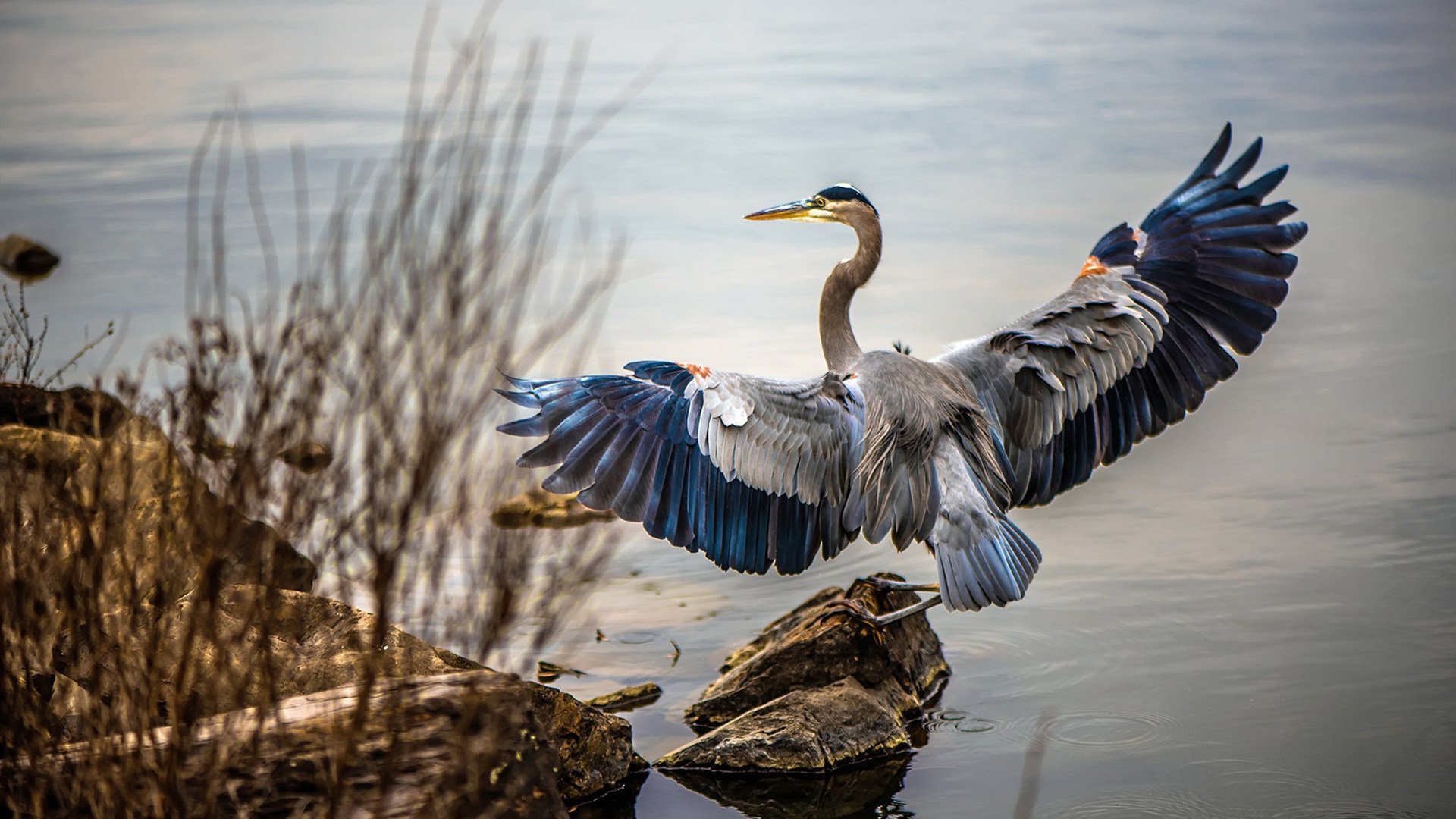 西甲绝佳突破：精彩过人，令人惊叹！，西甲最佳11人