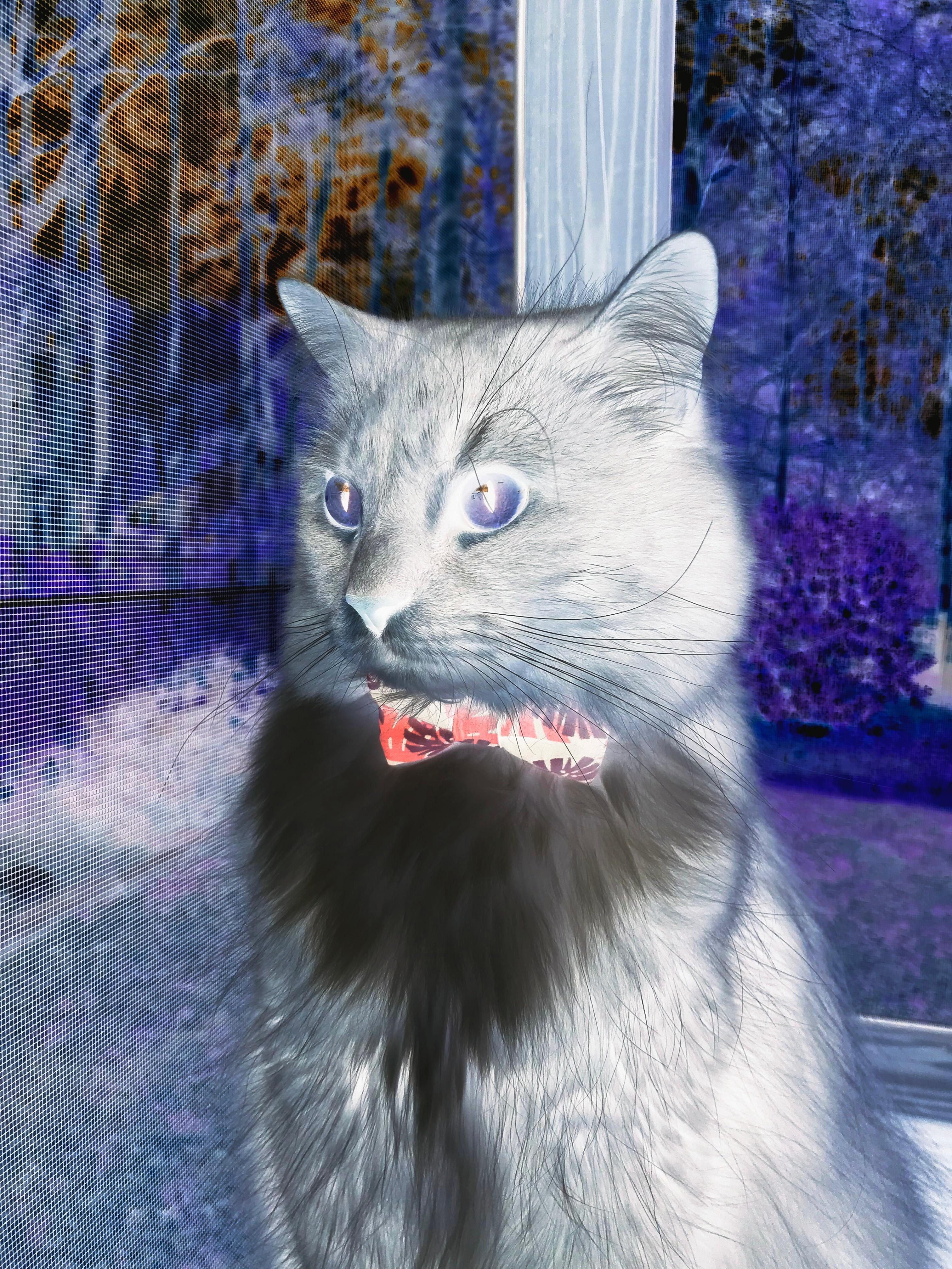 JIU YOU GAME-骑士社交活动扩大本地影响力，骑士社交活动扩大本地影响力的方法